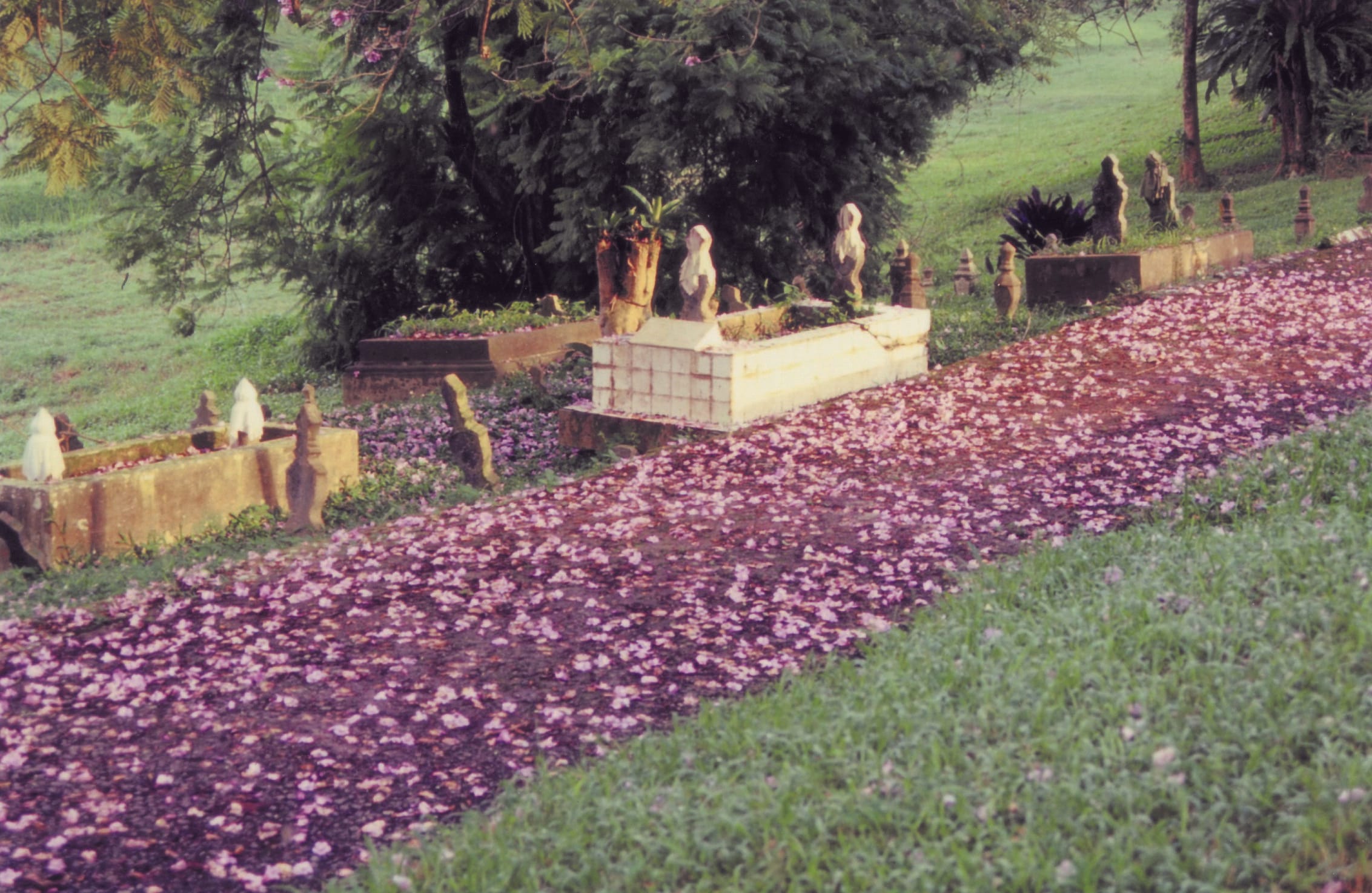 Simple tombstones lining the sidewalk of Bidadari Muslim cemetery. Courtesy of Goh Si Guim.